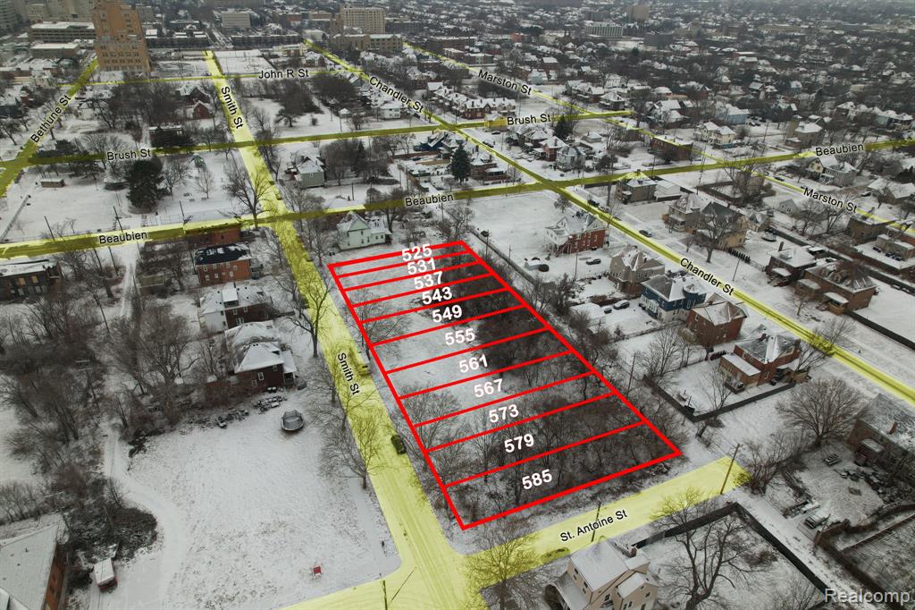 585 Smith Street, Detroit, MI 48202 — Photo 4