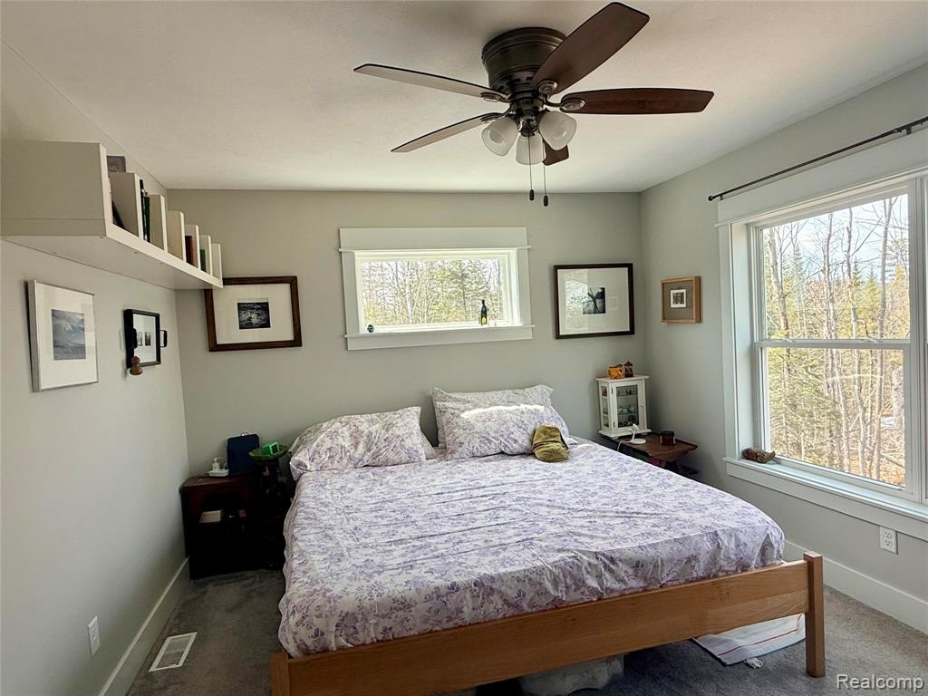 9220 S Flaska Drive, Cedar, MI 49621 — Photo 42