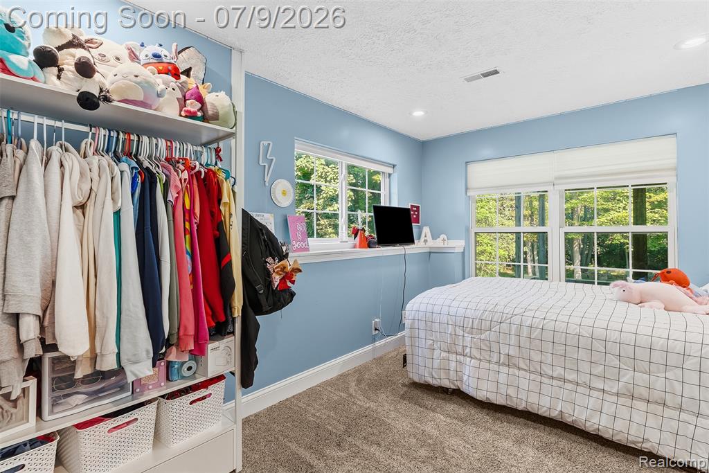 9285 Pine Walk Pass, Linden, MI 48451 — Photo 20