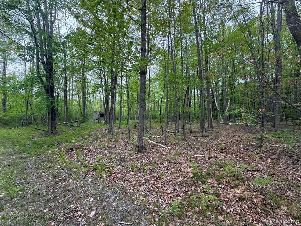 5994 N Lake Sanford Road, Sanford, MI 48657 — Photo 25