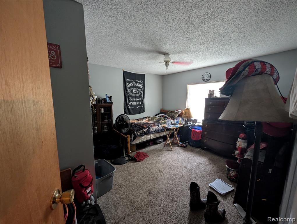 11175 S Morrice Road, Morrice, MI 48857 — Photo 14