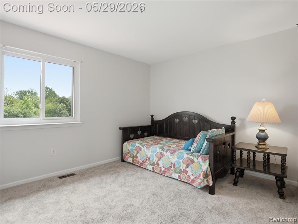 47525 River Woods Drive, Canton, MI 48188 — Photo 23