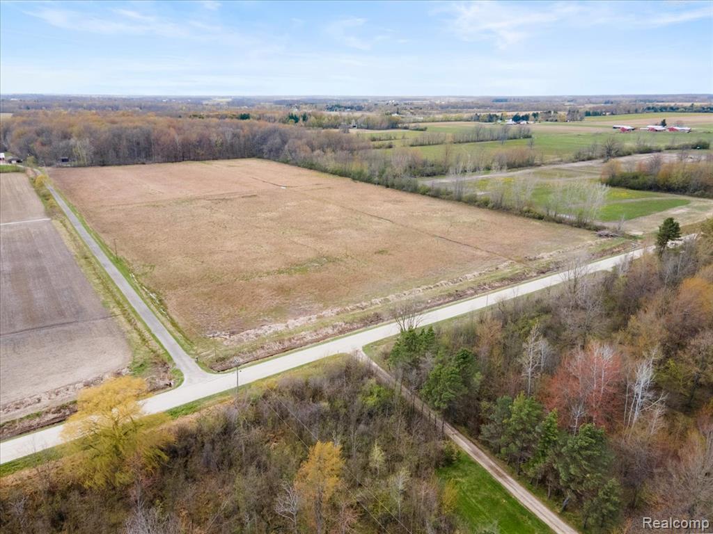 VL CRIBBINS Road, Greenwood, MI 48006 — Photo 5