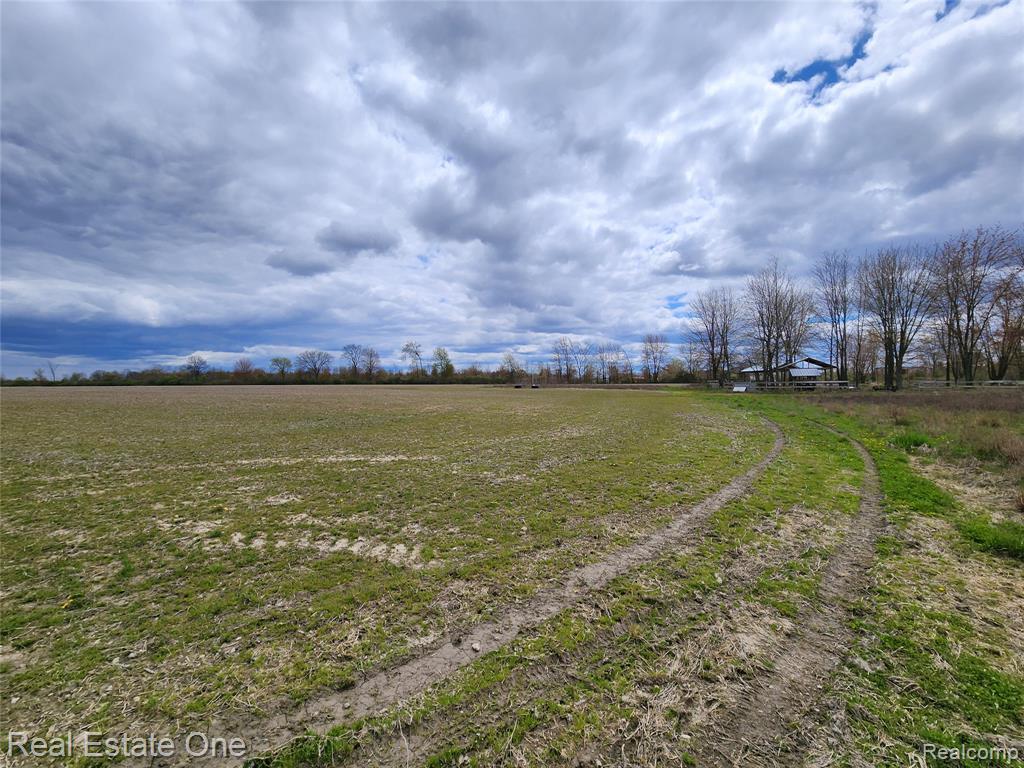 2320 Braidwood Road, Riley, MI — Photo 19