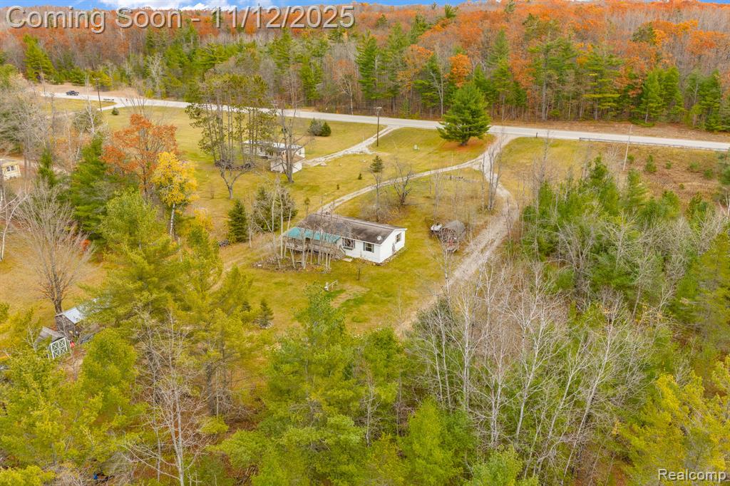 495 N M 65 Highway N, Curran, MI 48728 — Photo 39