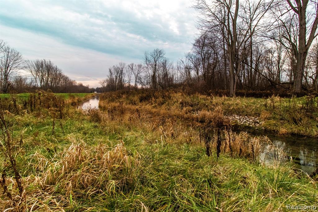 6152 OLD STATE Road, North Branch, MI 48461 — Photo 10