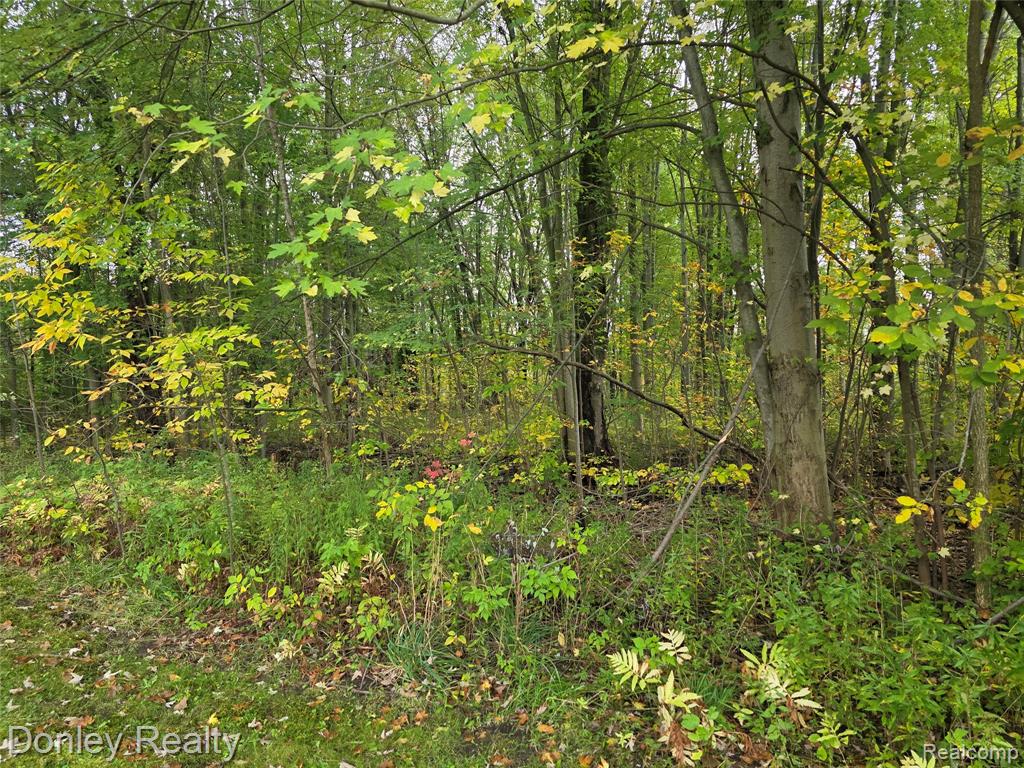 5690 Van Dyke Road, Cass City, MI 48726 — Photo 13