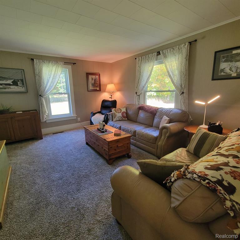 5782 LYONS Road, Imlay City, MI 48444 — Photo 14