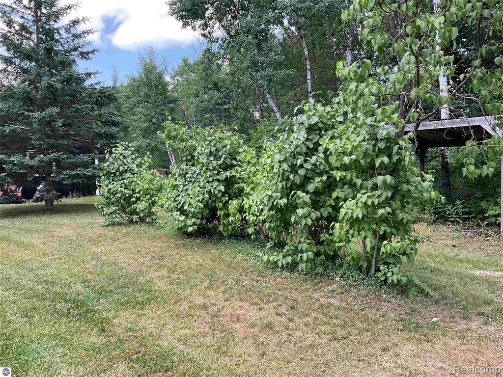 10694 Freeman Road, Mesick, MI 49668 — Photo 38