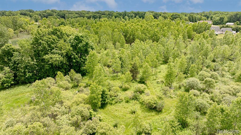 VL Fosland Farms Drive, Jackson, MI 49201 — Photo 6
