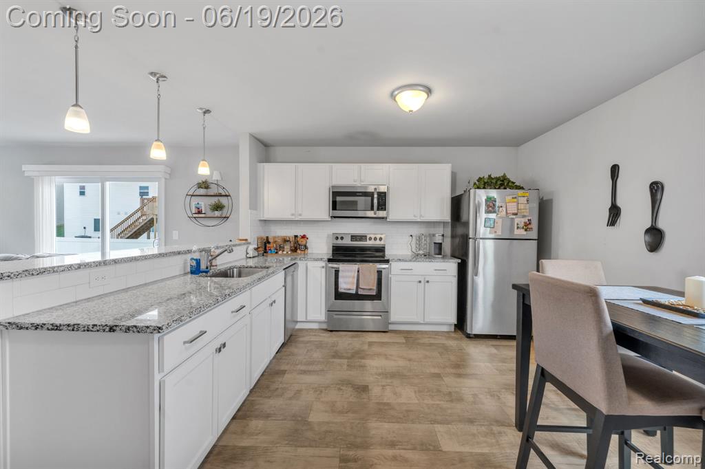 2907 Jordan River Drive, Fowlerville, MI 48836 — Photo 9