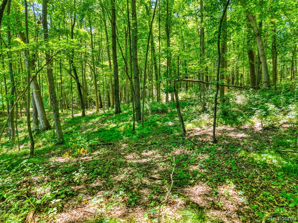 5663 Iosco Mountain Road, Gregory, MI 48137 — Photo 7