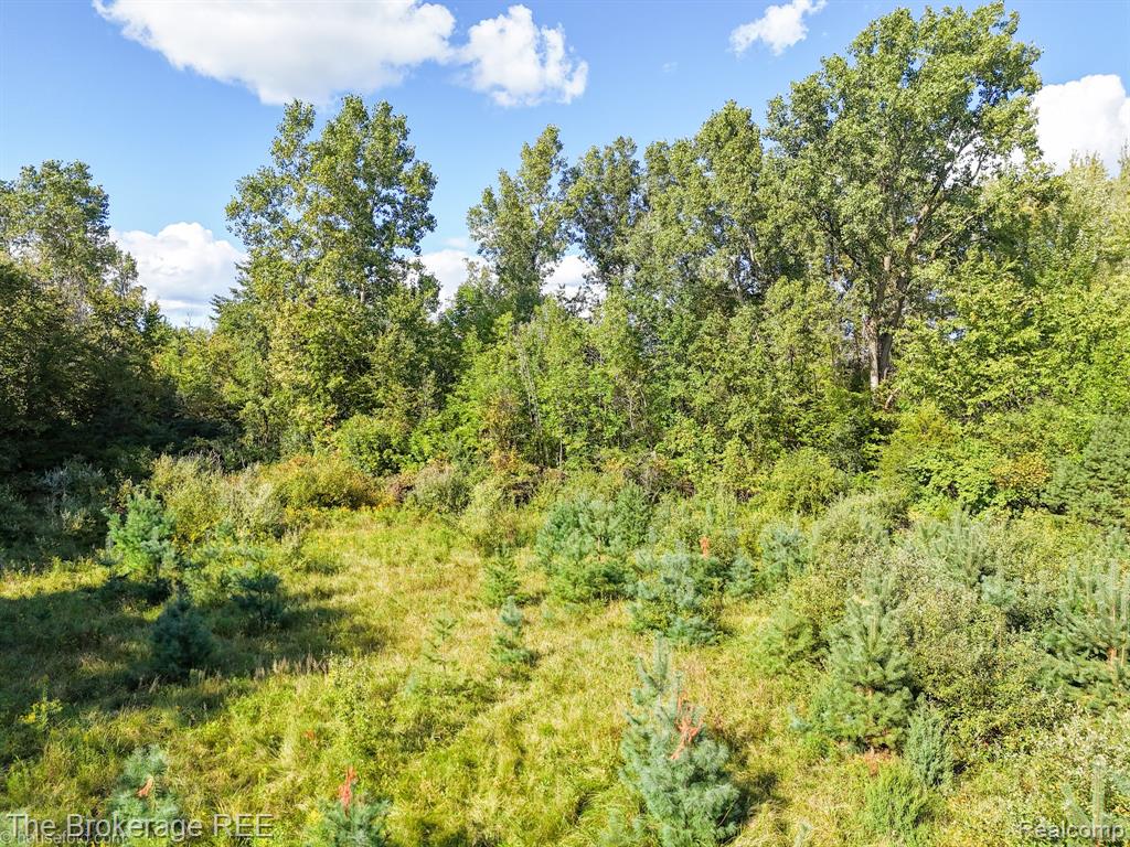 8439 Burpee Road, Grand Blanc, MI 48439 — Photo 52