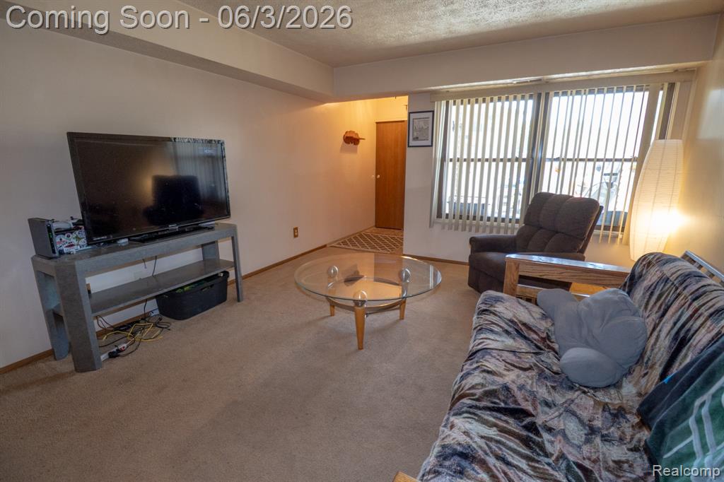 61200 Greenwood Drive, South Lyon, MI 48178 — Photo 7