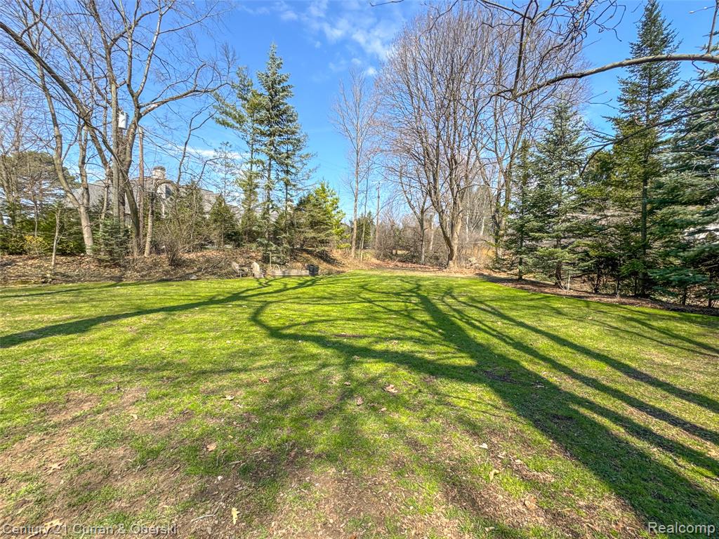 View of grassy yard featuring view of wooded area