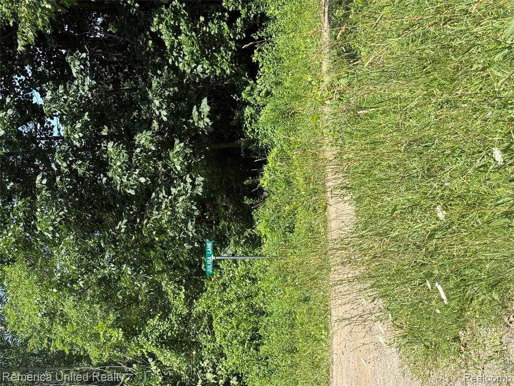 5550 Fisher Road, Howell, MI 48855 — Photo 3