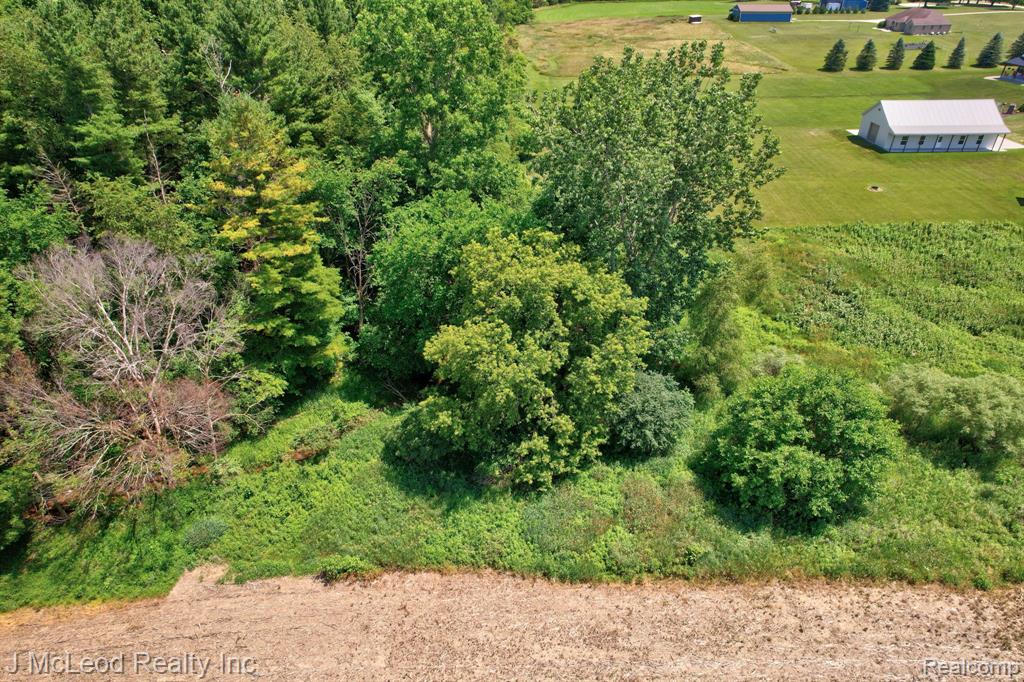 5160 Barnes Road, Millington, MI 48746 — Photo 9