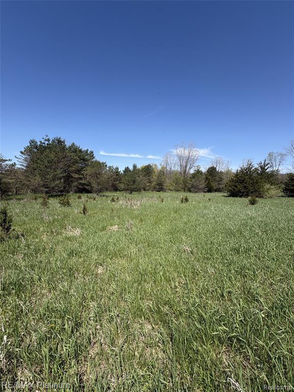 Parcel 2 Pineway Trail, Howell, MI 48855 — Photo 4
