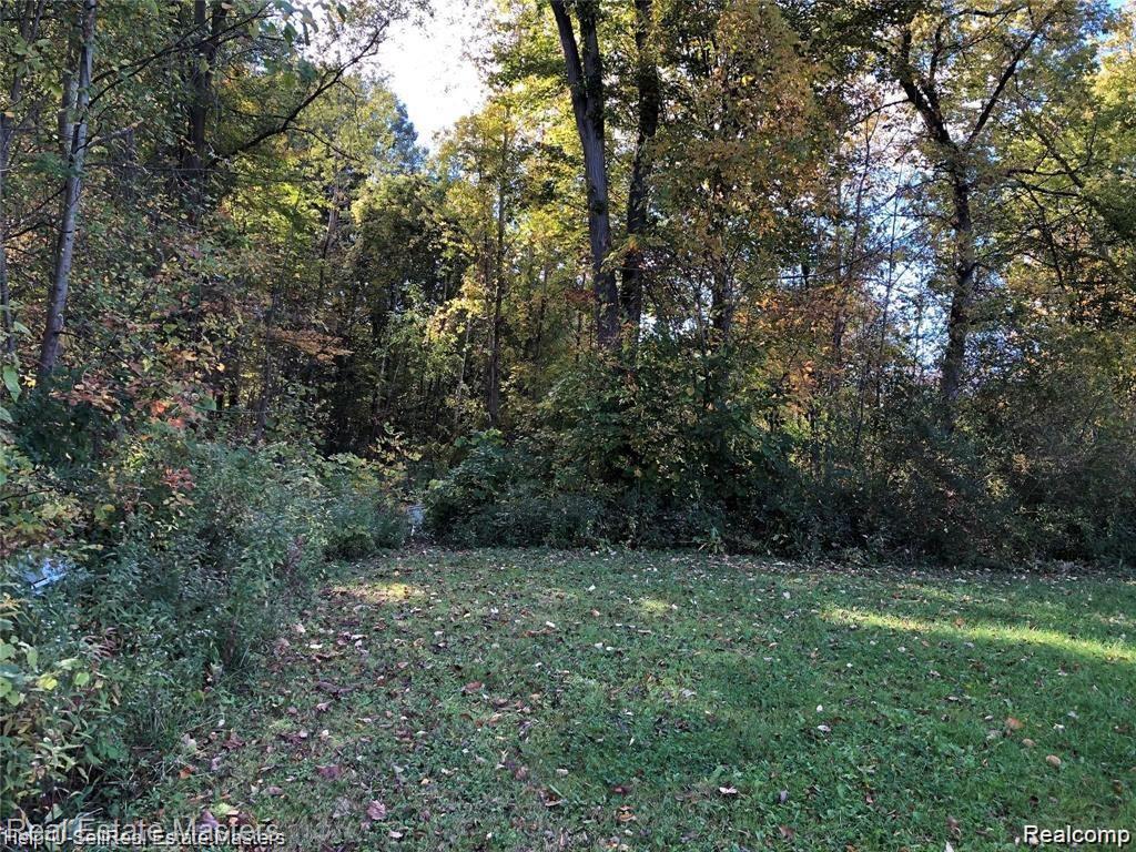 7627 Lapeer Road, Wales, MI — Photo 3