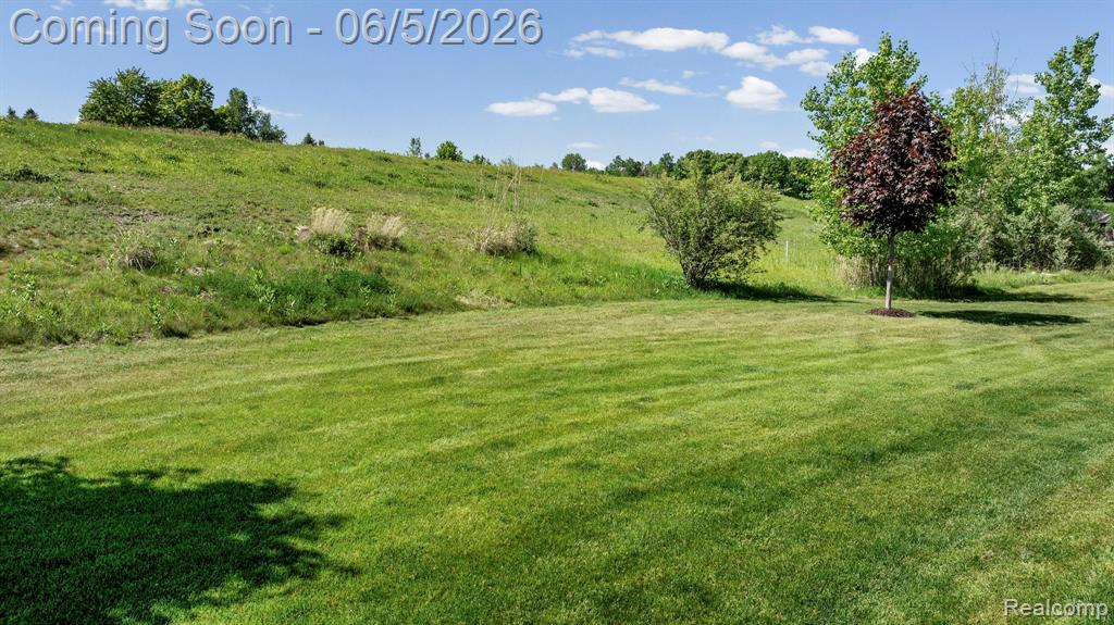 672 Brooks Lane, Oxford, MI 48371 — Photo 8
