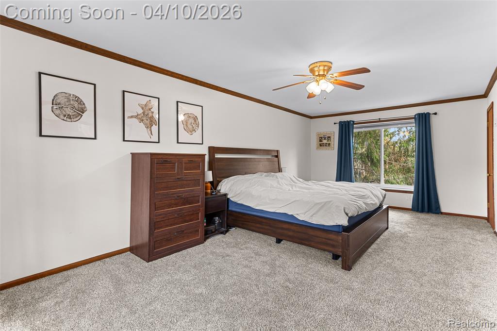 6374 Rickett Road, Brighton, MI 48116 — Photo 22