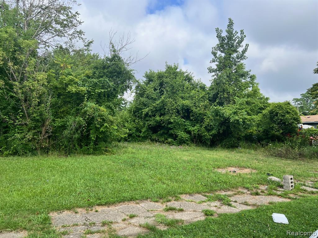 9149 Delmar Street, Detroit, MI 48211 — Photo 7