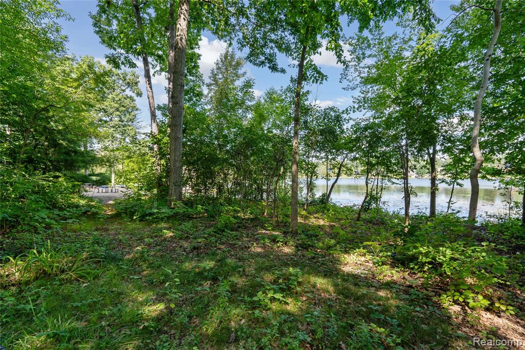 1441 Remsing Street, Hartland, MI 48353 — Photo 47