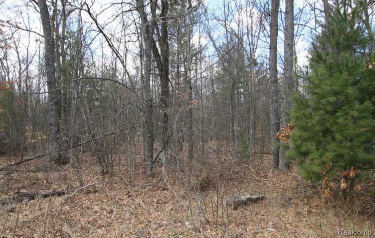 V/L S BRODIE Road, South Branch, MI 48761 — Photo 3