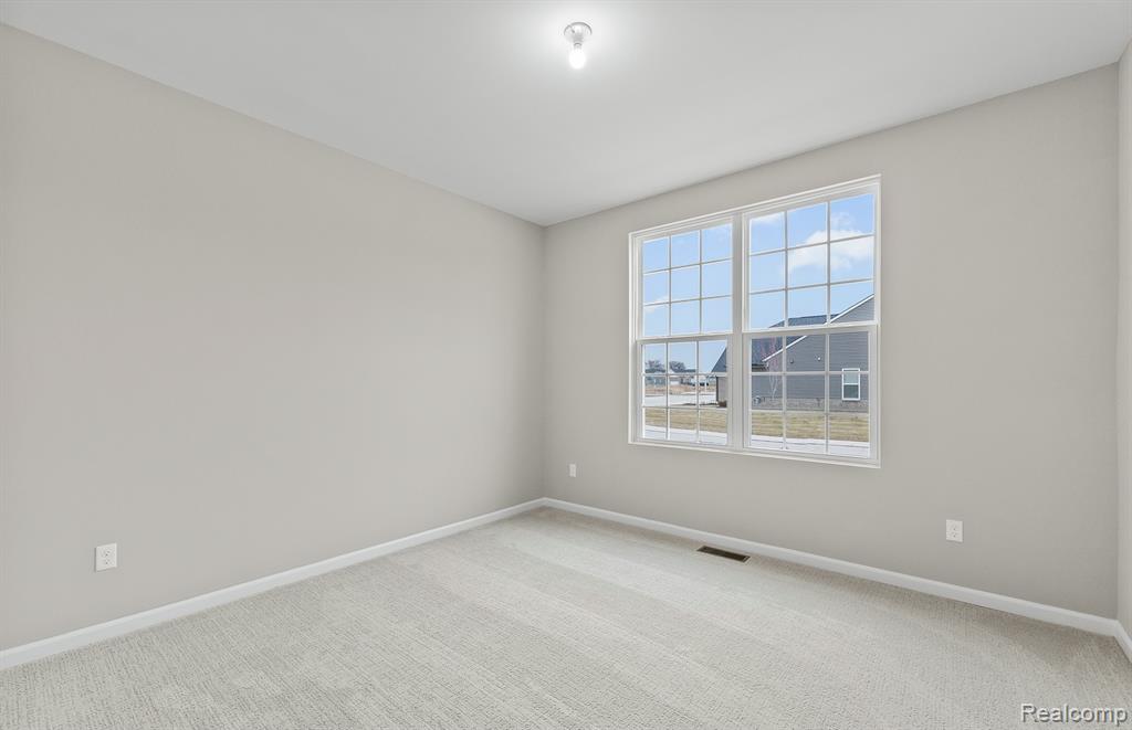 16104 Conifer Lane, Clinton Twp, MI 48038 — Photo 25