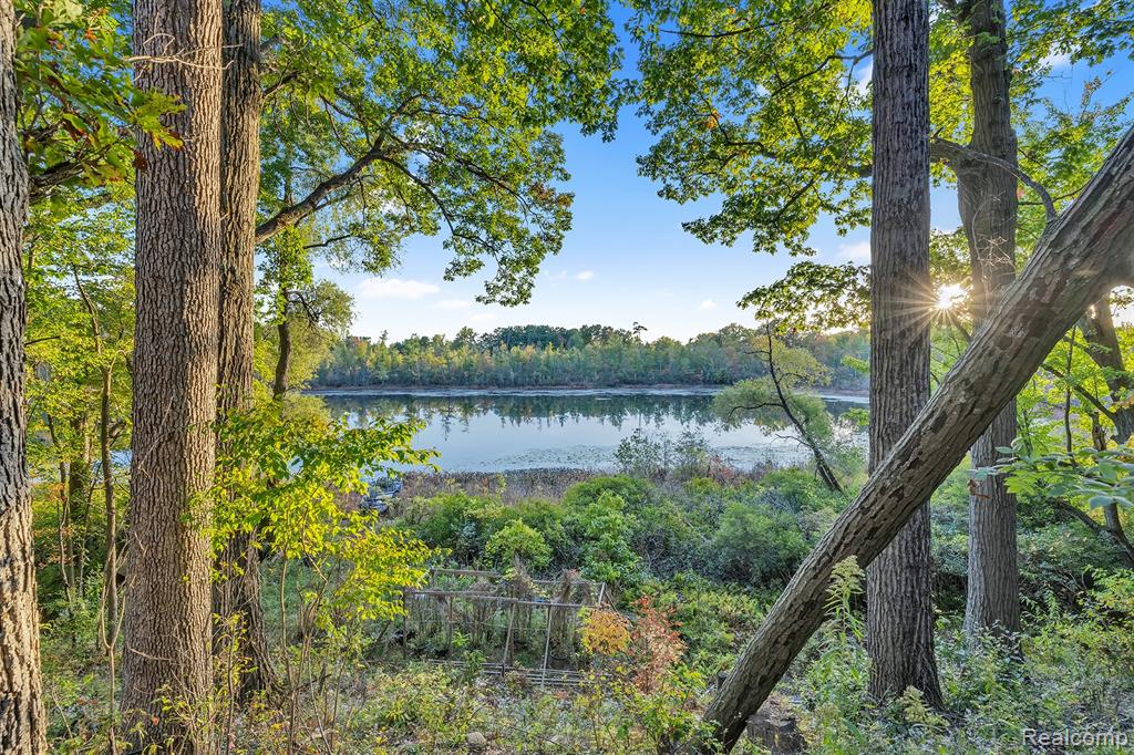 8264 Wilson Road, Otisville, MI 48463 — Photo 20