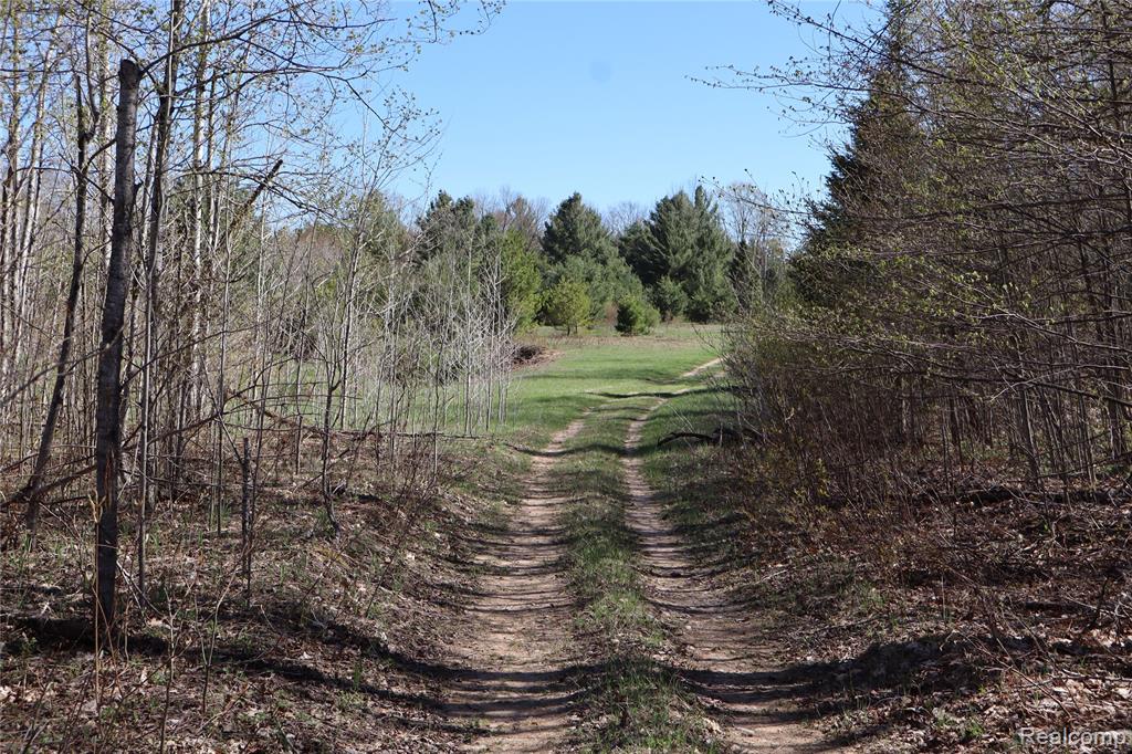 5575 E 26 Mile Road, Pickford, MI 49774 — Photo 17