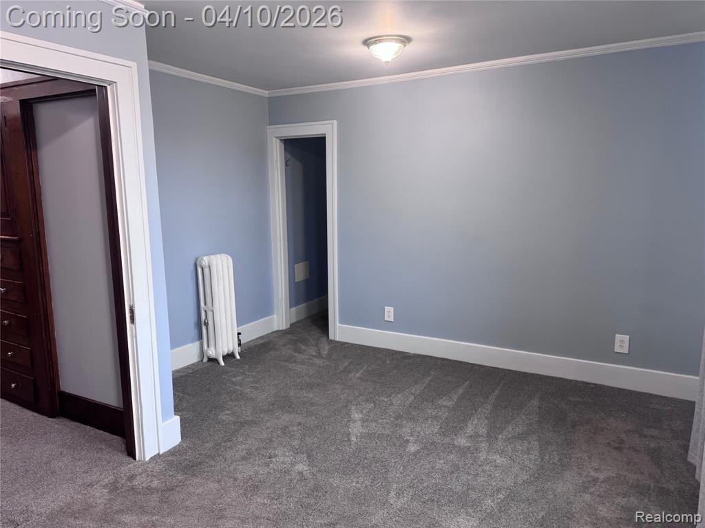 3841 Caniff Street, Hamtramck, MI 48212 — Photo 37