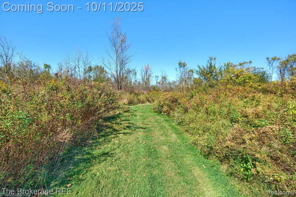 5234 Kelly Road, Flint, MI 48504 — Photo 13