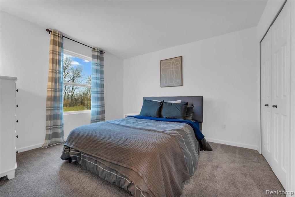 9556 NATURE VIEW Lane, Ypsilanti, MI 48197 — Photo 24