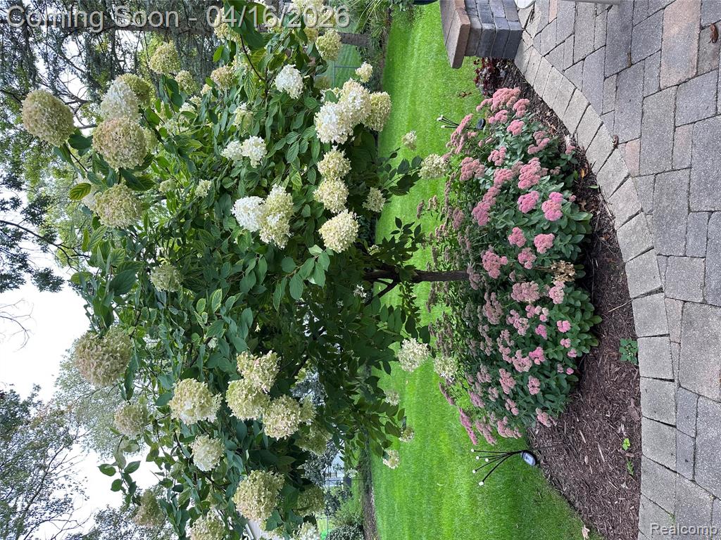 3363 Blasser Drive, Lake Orion, MI — Photo 5