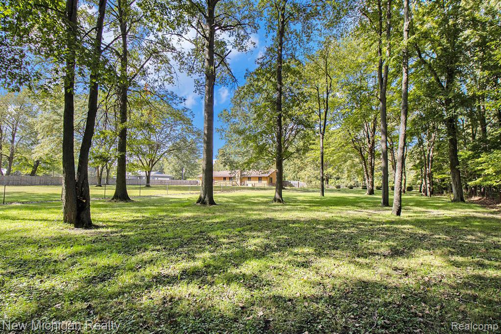 15097 Cortz Road, Petersburg, MI 49270 — Photo 33