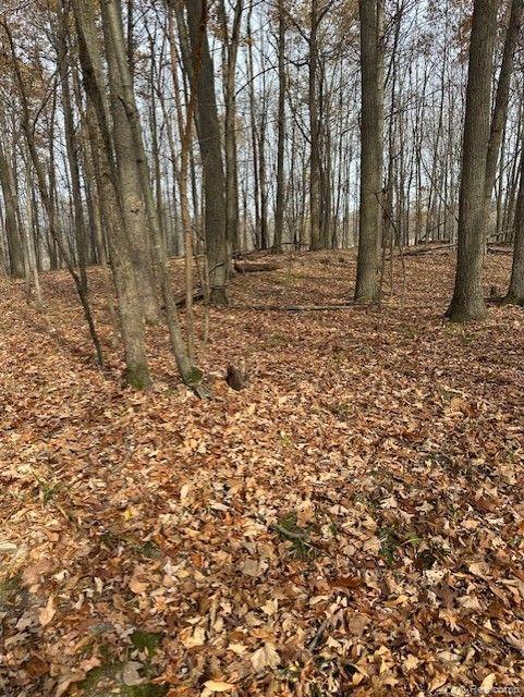 8438 JORDAN Road, Grand Blanc, MI 48439 — Photo 21