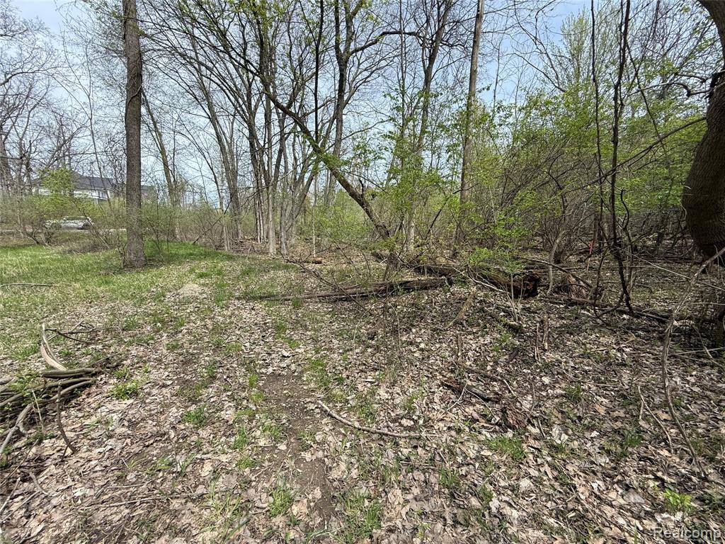 Lot 66 Preserve Drive, Fenton, MI 48430 — Photo 5