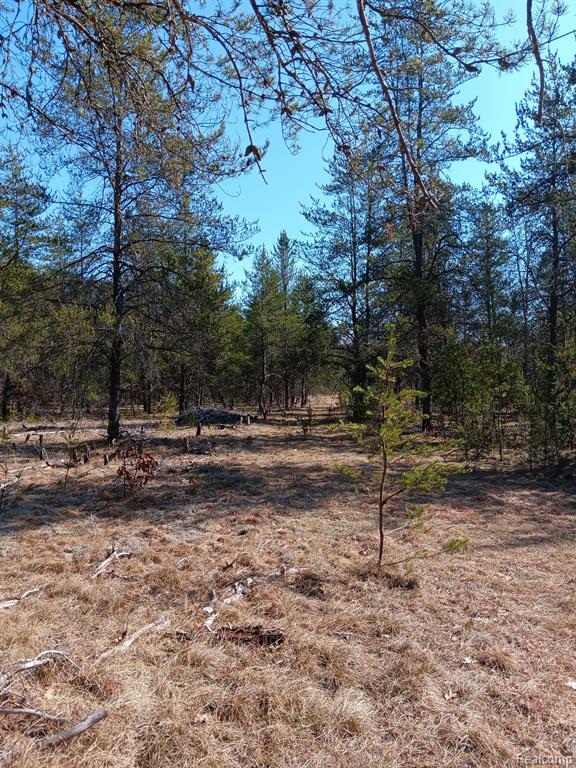 0000 Cedar Creek Road, Wellston, MI, 49689