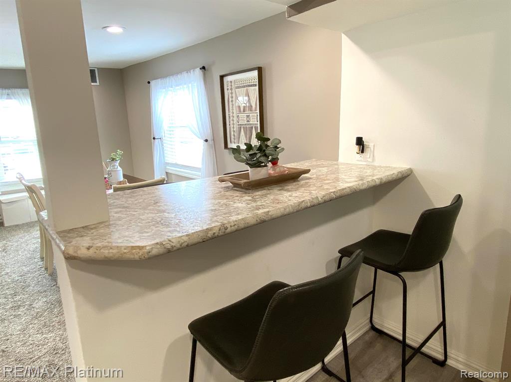 505 E FRANK Street, Fowlerville, MI 48836 — Photo 10