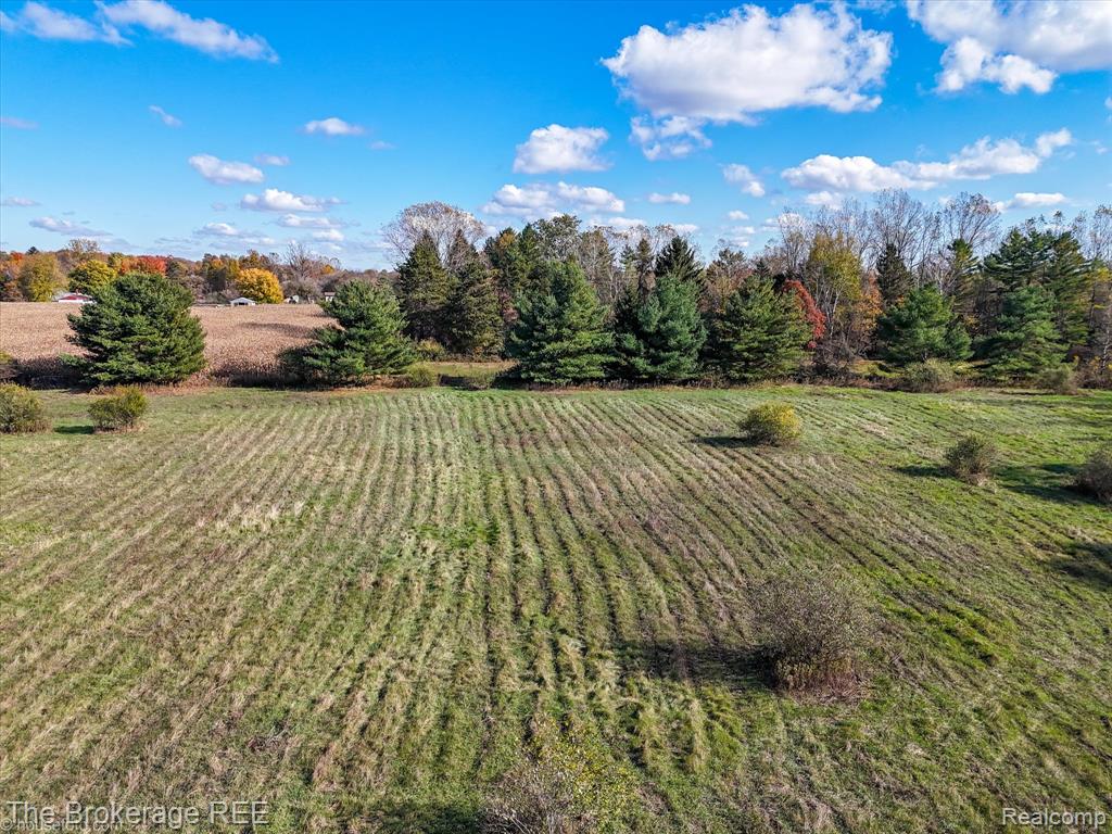 VL Janna Leigh Drive, Otter Lake, MI 48464 — Photo 3