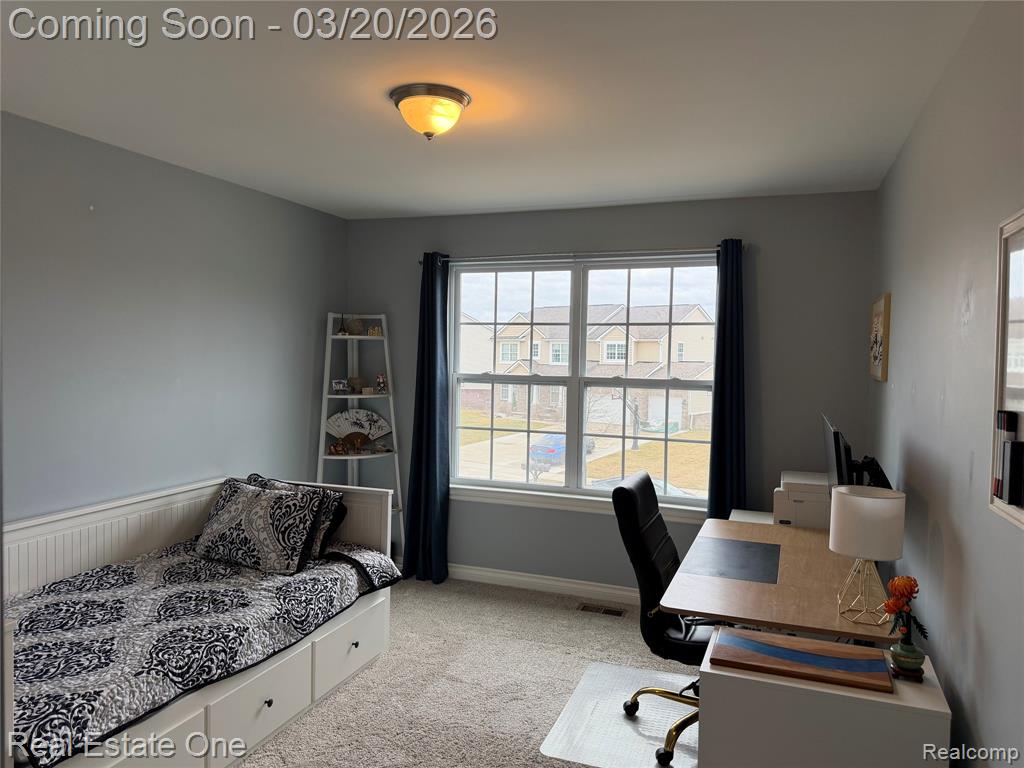 58206 Sunflower Circle N, New Hudson, MI 48165 — Photo 23