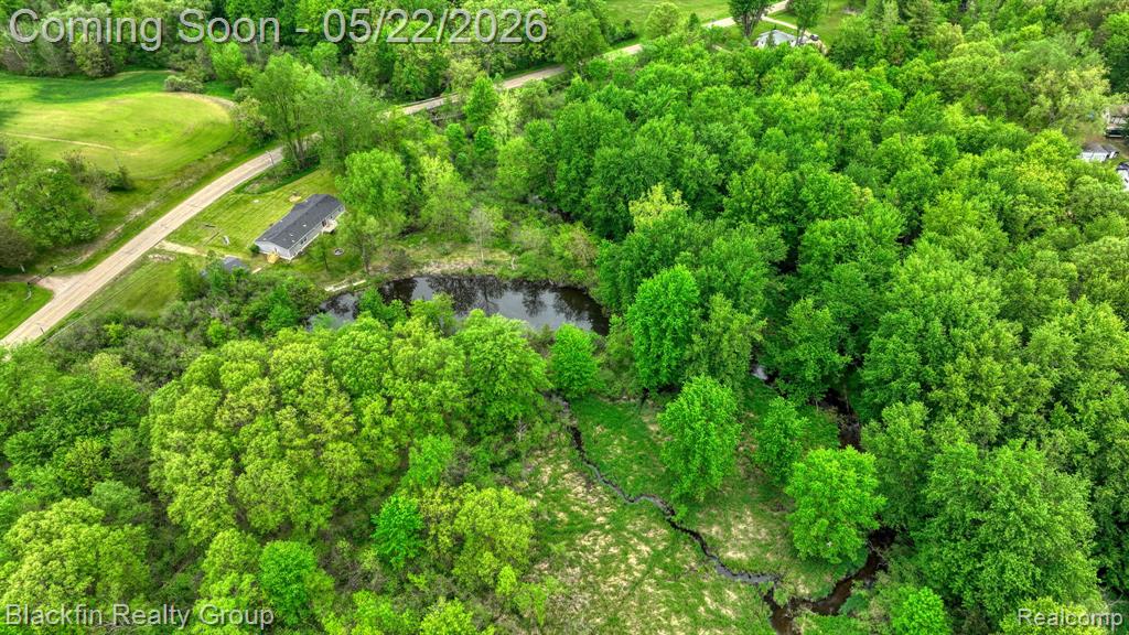 7001 Sweezy Lake Road, Brooklyn, MI 49230 — Photo 61