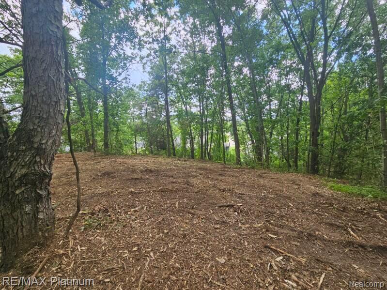 4253 Link Drive, Brighton, MI 48114 — Photo 6