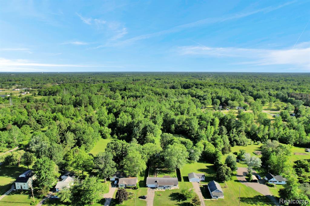 6245 W Coldwater Road, Flushing, MI 48433 — Photo 30