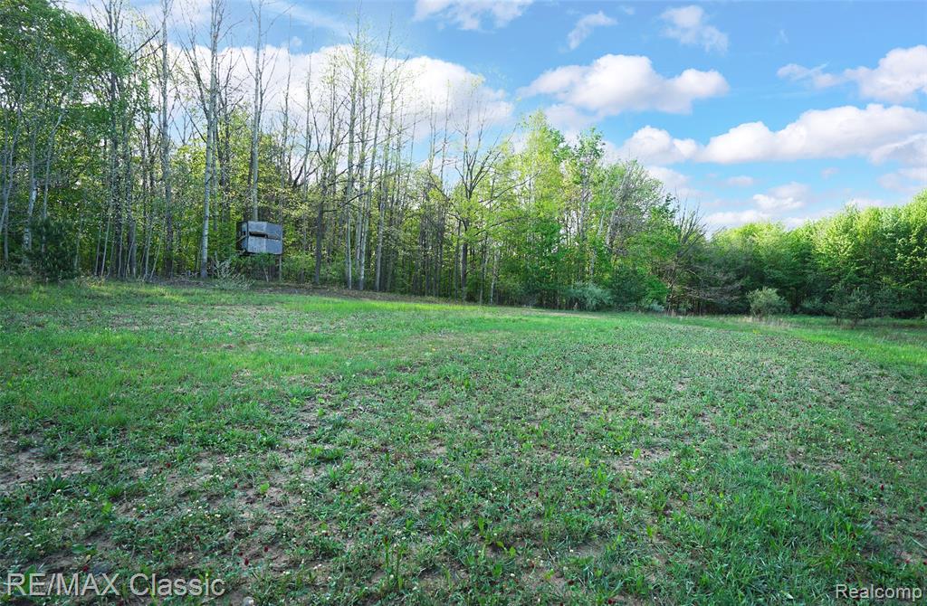 4611 Murray Road, Mayville Vlg, MI 48744 — Photo 21