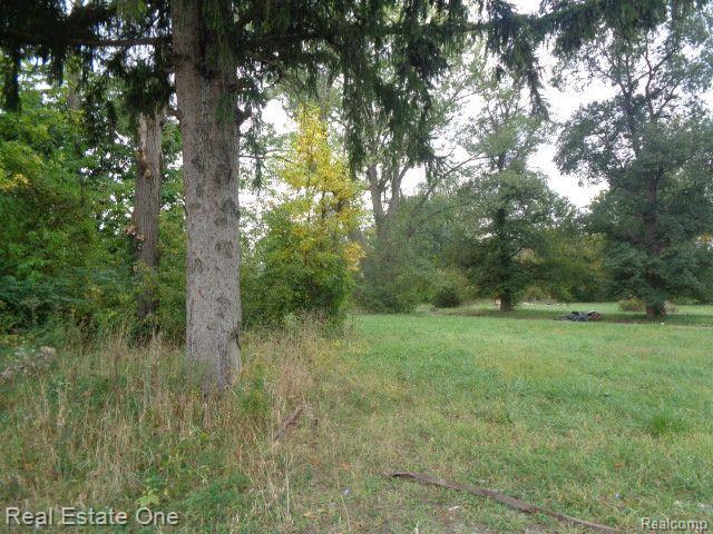 12936 FIELDING Street, Detroit, MI 48223 — Photo 5