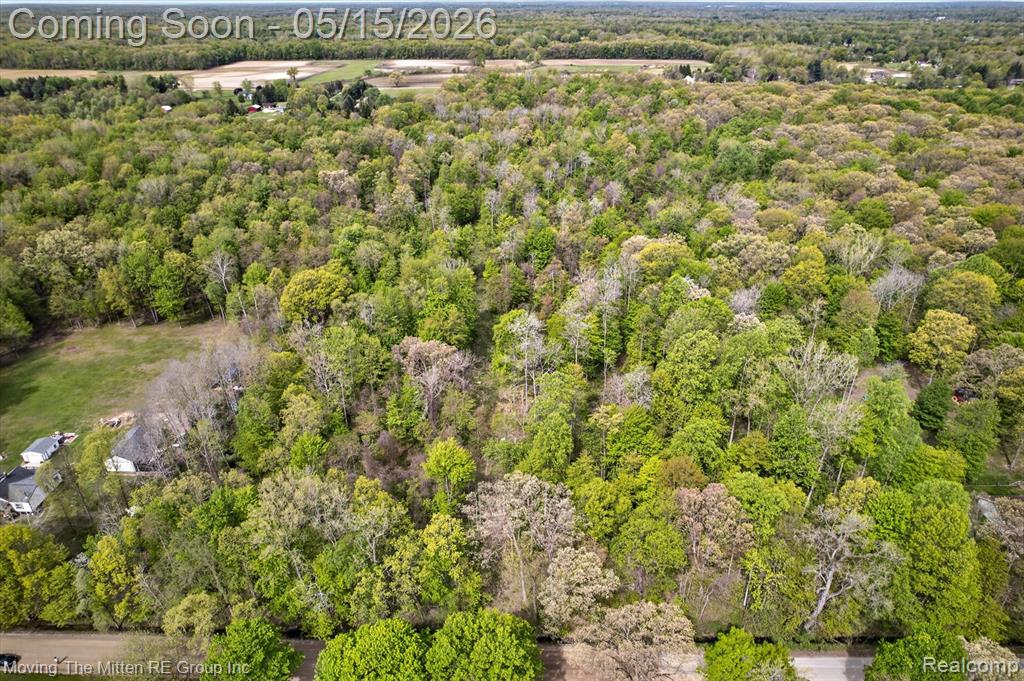 22530 Bohn Road, Belleville, MI 48111 — Photo 3