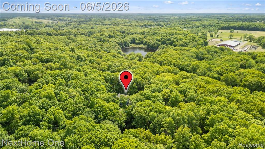 2533 Spring Grove Drive, Brighton, MI 48114 — Photo 42