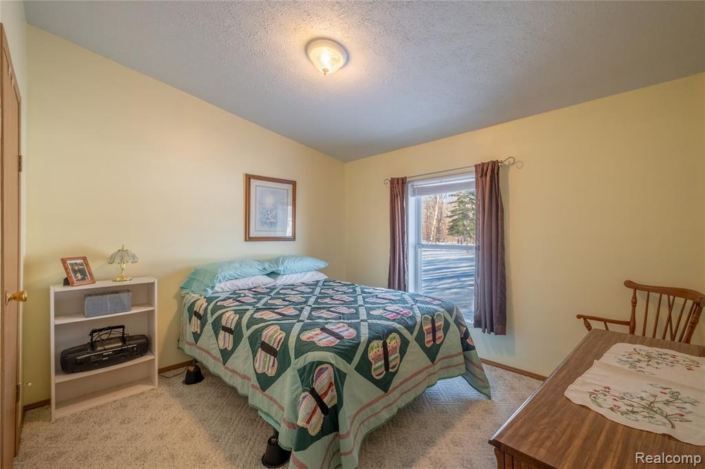 11944 N Wise Road, Clare, MI 48617 — Photo 13